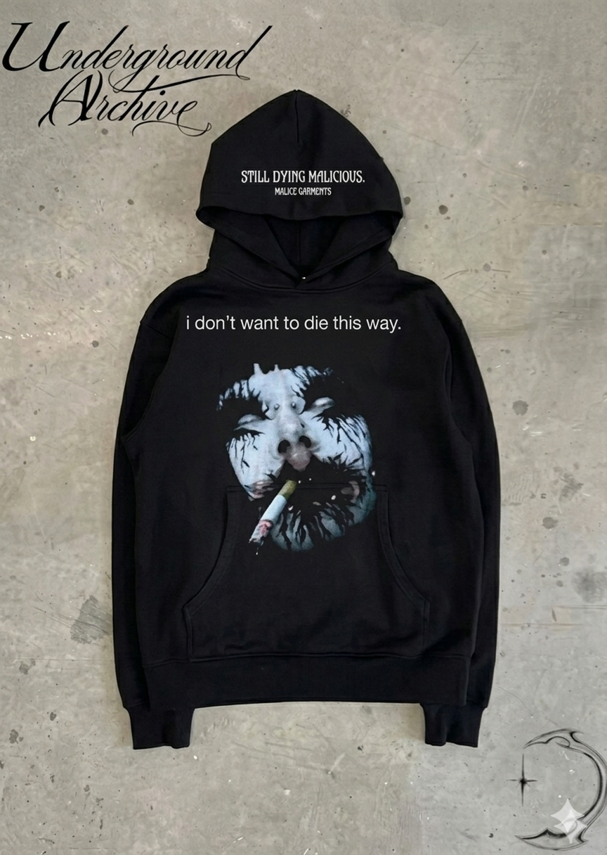 I DON’T WANT TO DIE THIS WAY HOODIE